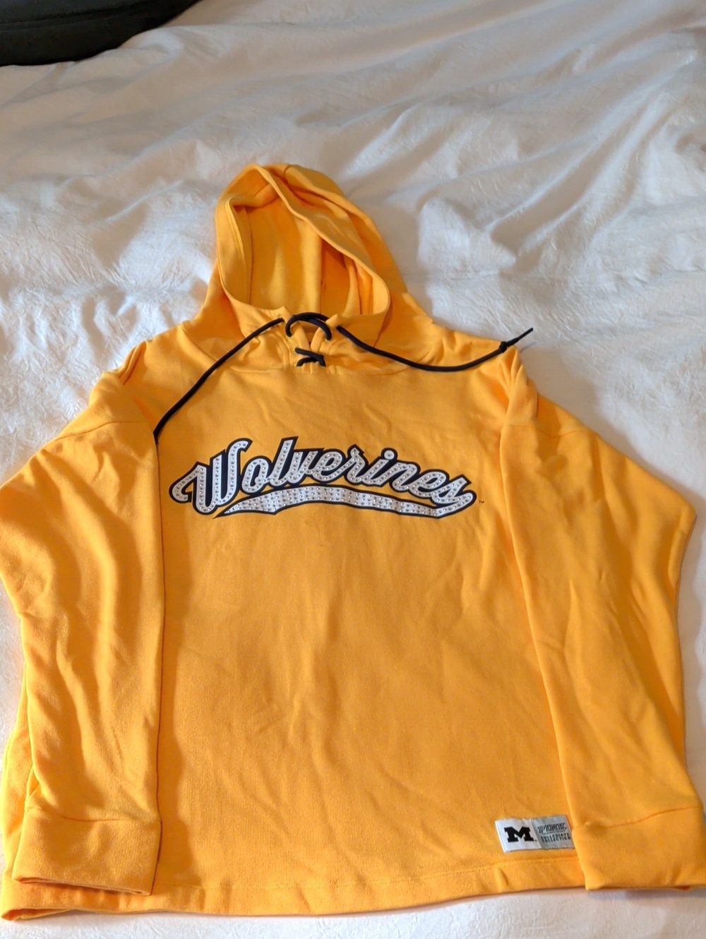 Michigan Wolverines Hooded Sweatshirt Women's L NWOT